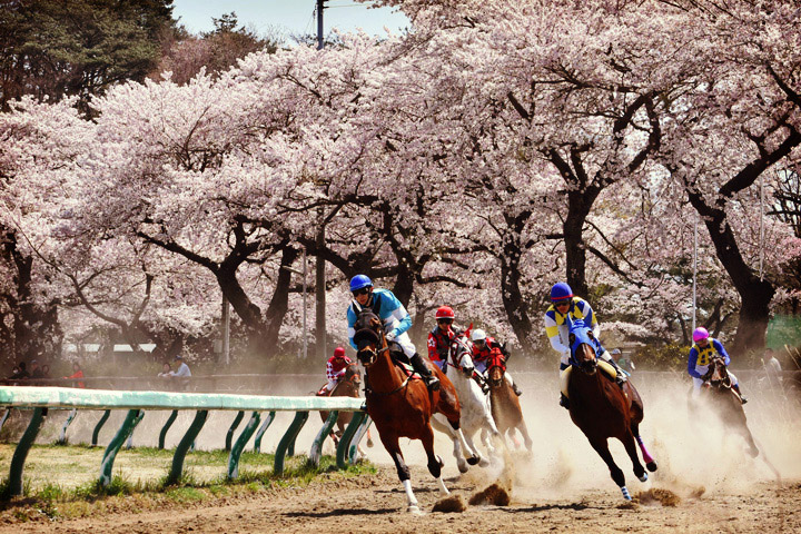 野馬追振興春季競馬大会