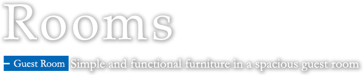 Guest room	Simple and functional furniture in a spacious guest room